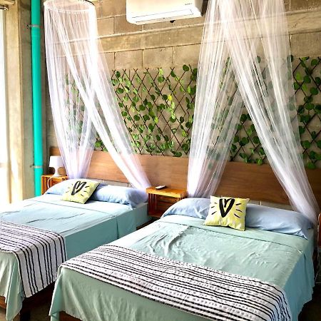Hostal Tortuga Саюліта Екстер'єр фото